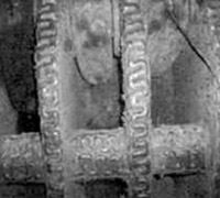 �Nʽ����C(j��)�N�P�Ĳ��|(zh��)�ͶѺ���ˇ