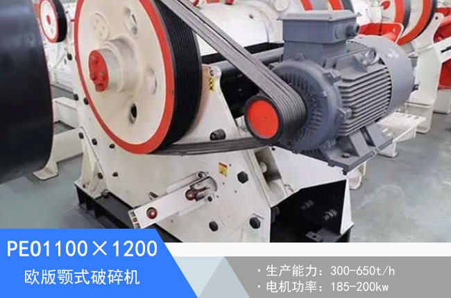 PEO1100��1200�W���ʽ����C(j��)