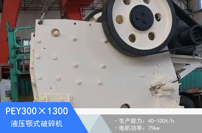 PEY300��1300Һ���ʽ����C(j��)