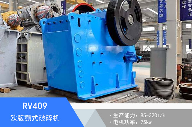 RV409�W���ʽ����C