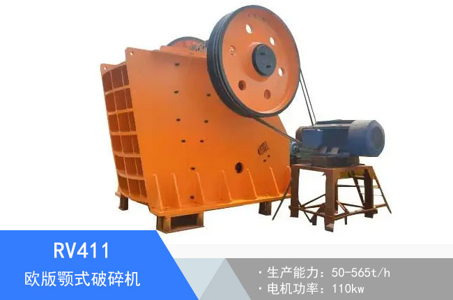 RV411�W���ʽ����C