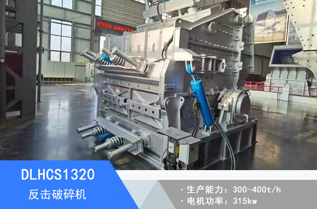 DLHCS1320��������C