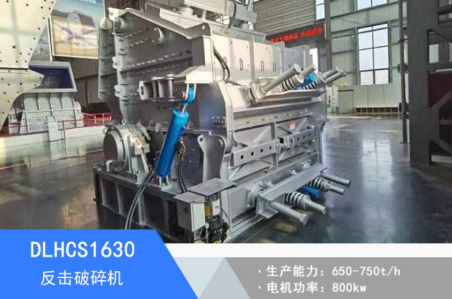 DLHCS1630��������C