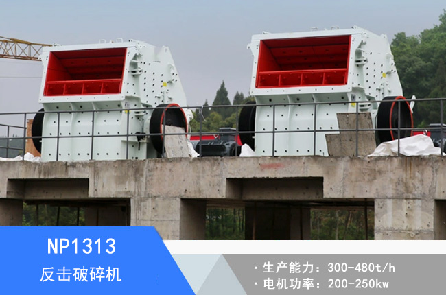 NP1313��������C