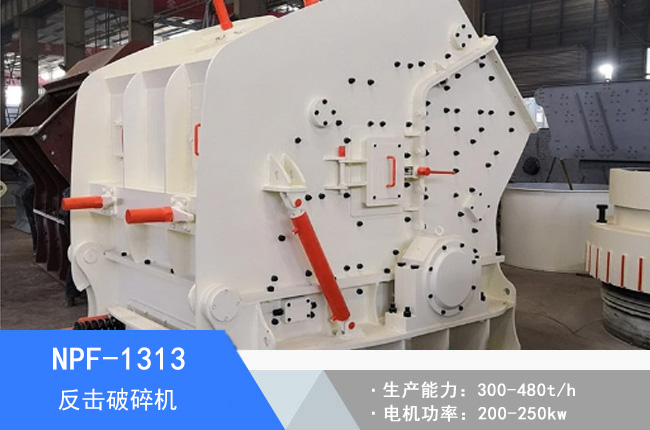 NPF-1313�W�淴������C(j��)