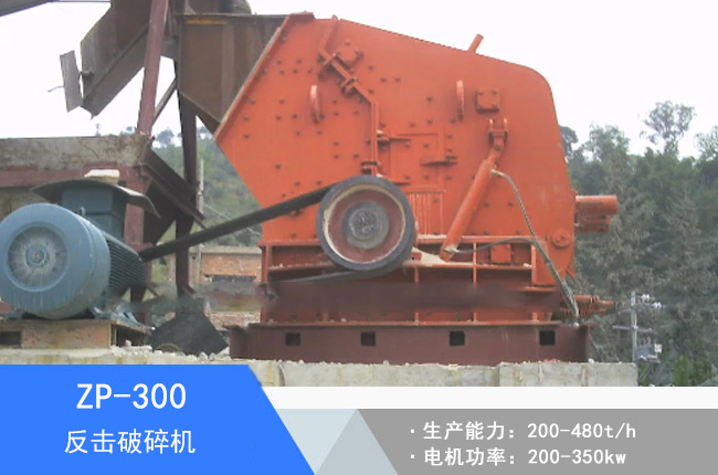 ZP-300��������C