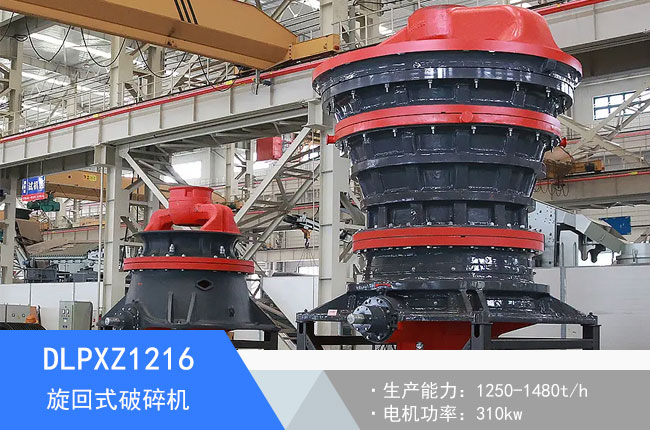 DLPXZ1216��������C