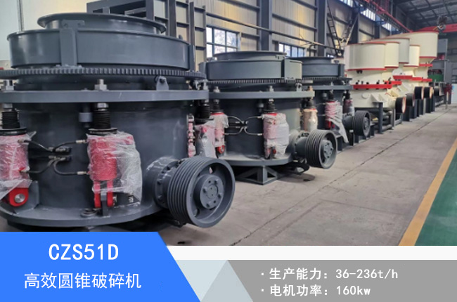 CZS51D�A�F����C(j��)