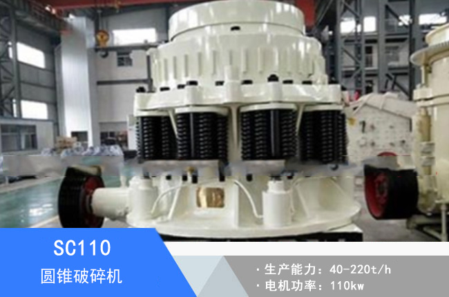 SC110�A�F����C(j��)