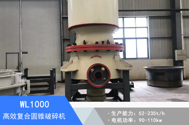 WL1000�ͺψA�F����C