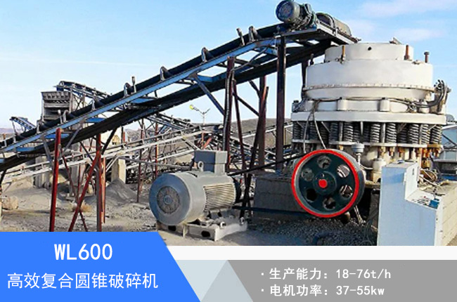 WL600��(f��)�ψA�F����C(j��)